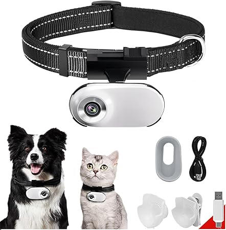 Read more about the article cat camera collar